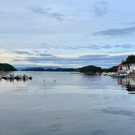 Holiday Auklandshamn